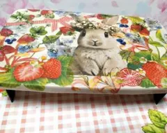 Item thumbnail for item bea66066-3f11-49e8-8824-46b29e346e6e