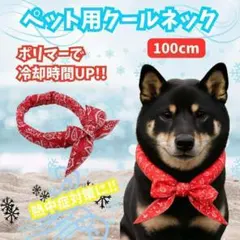 Item thumbnail for item 1e58f545-2271-4e2b-a4fa-dbf6128dcb09