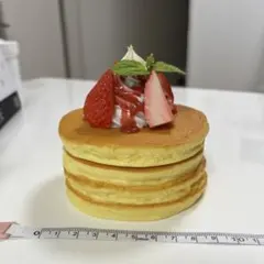 食品サンプル　実物大　カツサンド　フライドポテト　ケチャップ　皿　サンドイッチ 食品サンプル 実物大 カツサンド フライドポテト ケチャップ 皿