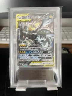 2025年最新】ピカチュウ&ゼクロム sa psa10の人気アイテム - メルカリ