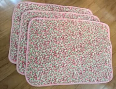 Item thumbnail for item 5ccf9b70-1ac3-492d-a2b5-b9ead166e343