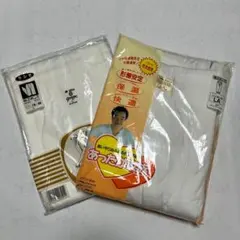 Item thumbnail for item 67f5aea3-3e23-403b-beca-eb7917dc2f40