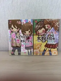 一期一会シリーズ23冊 一期一会シリーズ23冊 Amazon.co.jp: 一期一会 大好き同士