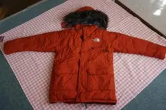 〈値下げ〉THE NORTH FACE マクマード メンズM　中古品