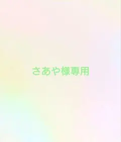 さあや様専用ページ