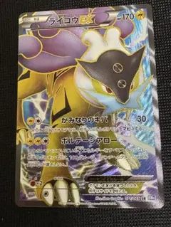 極美品 ライコウEX SR BW4 1ed - メルカリ