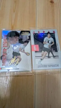 パナソニックパンサーズ　山内晶大選手　直筆　サイン入りミニボール Amazon.co.jp: パナソニックパンサーズ 山内晶大選手 グッズ