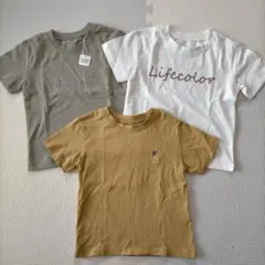 3枚セット Tシャツ 100cm