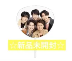 ☆新品未開封☆We are ARASHI 2026 ミニうちわ