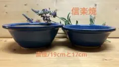 未使用/特価❕信楽焼/生子ブルー/植木鉢/9号/1点 懸崖鉢/蘭鉢 - メルカリ