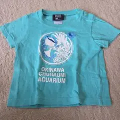 Okinawa Churaumi Aquarium キッズTシャツ 90cmのサムネイル