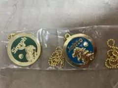ポケモン メダルキーホルダー メタルキーホルダー　2種セット　一番くじのサムネイル