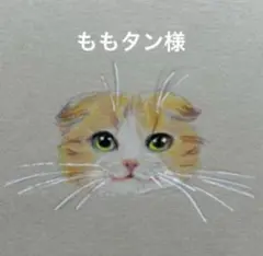 ももタン様　専用