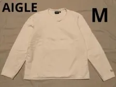 Item thumbnail for item 8d702eff-2d6e-4232-8685-f34d57732d50