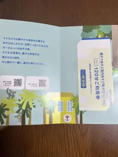 おおたかの森限定 キドキド ボーネルンドの遊び場 120分利用券 - メルカリ