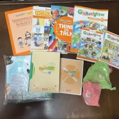 ECC PI Global View セット　CD.DVD カード