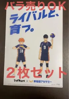 【非売品】ハイキュー‼︎　日向翔陽 狐爪研磨 影山飛雄　ファイル　新品　未使用
