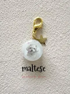 ドーバー・マック様 リクエスト 2点 まとめ商品