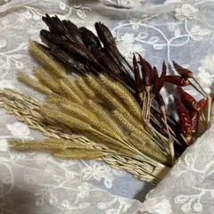 ◾️ドライフラワー◾️28◾️アンティークカラーのドライフラワーセット