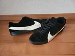 Nike BLAZER CITY LOW ブレーザー