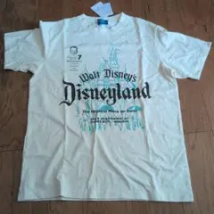 Walt Disney's Disneyland Tシャツ＆クリアファイルセット