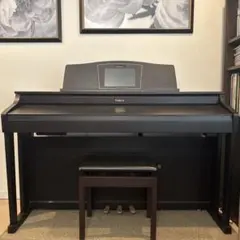 2025年最新】roland hpiの人気アイテム - メルカリ