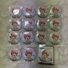 アイナナ　三月　缶バッジ　リンウイ　19個