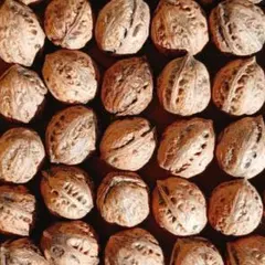 2026年最新】鬼胡桃の人気アイテム - メルカリ