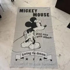 ディズニー カーテン