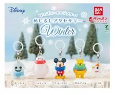 ディズニーキャラクター　めじるしアクセサリー　winter コンプリートセット