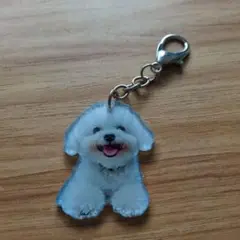 新品未使用の可愛い犬の顔 アクリルキーホルダー