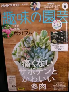 2026年最新】サボテン相談室の人気アイテム - メルカリ