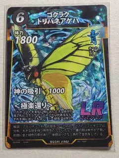 ゴクラクトリバネアゲハ