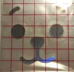 BTS BT21 RJ アミボム用　ホログラム　転写　ステッカー JIN ジン