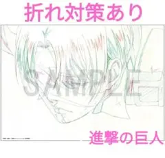 MAPPA展 進撃の巨人 複製原画 リヴァイ 兵長 MAPPA EXPO