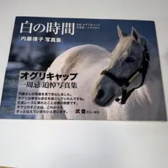 2026年最新】オグリキャップ写真集の人気アイテム - メルカリ