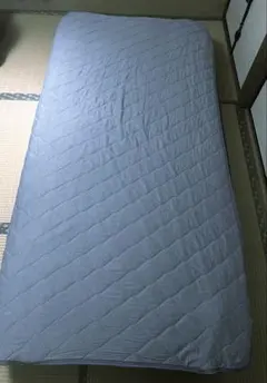 ニトリ NITORI 敷きパッド NクールWSP o-i