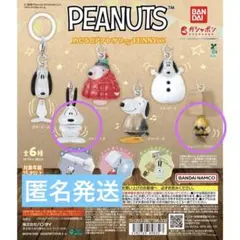 SNOOPY ピーナッツ　めじるしアクセサリー　スヌーピー FUNNY ①