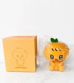 MINITEEN スングァン ミニ ムード ランプ プギュリ ミニティーン