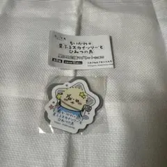 ラッコ マグネットのサムネイル