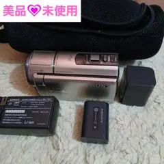 2026年最新】hdr-cx590vの人気アイテム - メルカリ