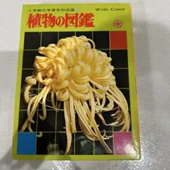 小学館の学習百科図鑑1植物の図鑑WideColor昭和レトロ学習本図鑑植物