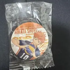 ハイキュー　日向翔陽　缶バッジ