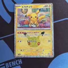 ピカチュウ　30th CELEBRATION さびしいめせん