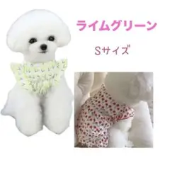 Item thumbnail for item 1f8b6dd3-9199-4631-90be-beb72e4833ef