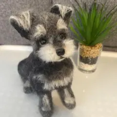 ஐ羊毛フェルト੯•`໒ Miniature Schnauzer - メルカリ
