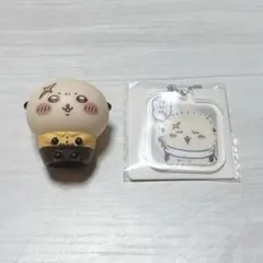 ラッコ　セット