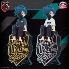 crazy raccoon フィギュア　箱ダメージあり