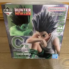 一番くじ HUNTER×HUNTER C賞 ゴンフィギュア