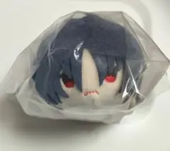 ガンダムSEED DESTINY シン・アスカ